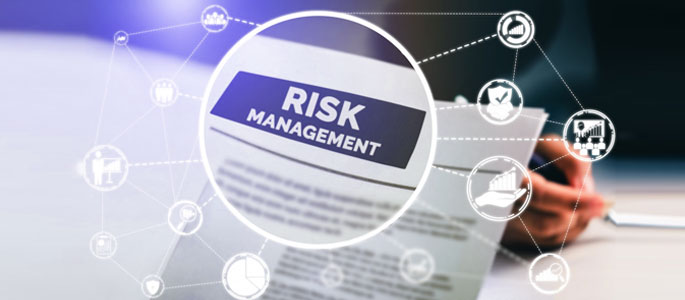 What is risk management system