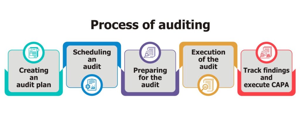 Audit management system process